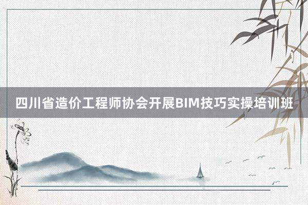 四川省造价工程师协会开展BIM技巧实操培训班